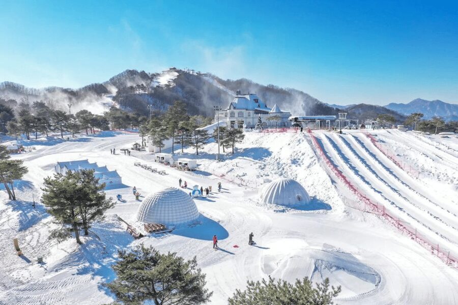 Seoul: SnowyLand in Vivaldi Park with Nami or Alpaca - Who will enjoy this day most?