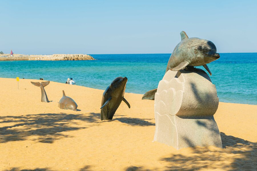 Seoul: Sokcho beach, market, hot spring and Seorak Cable Car - Should you book the Sokcho and Seorak day trip?