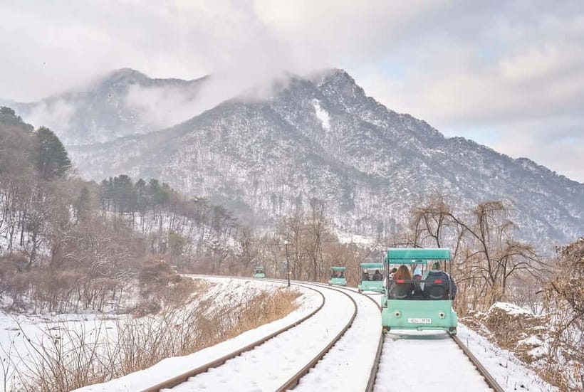 Seoul: Strawberry Picking & Eobi Ice Valley & Nami Island - Key points to know before booking