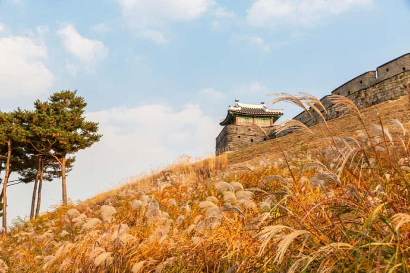 Seoul: Suwon Hwaseong Fortress & Korean Folk Village Tour - Why this day trip works beyond Seoul