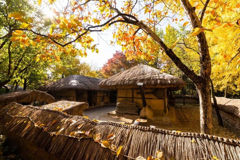 Seoul: Suwon Hwaseong Fortress & Korean Folk Village Tour - Who should book this tour