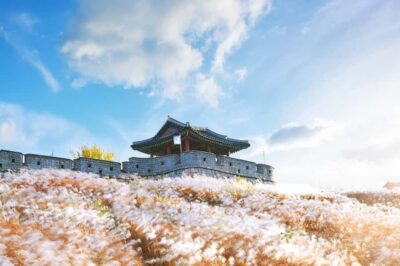 Suwon Hwaseong Fortress+Starfield Library+Waujeongsa