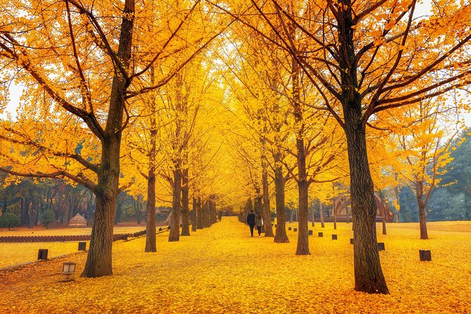 Seoul to/from Nami Island: Round trip Shuttle Bus Service - Making five hours on the island count