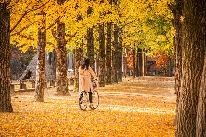 Seoul to/from Nami Island: Round trip Shuttle Bus Service - The return to Seoul and drop-off times