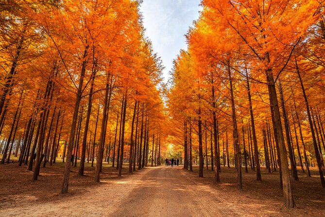 Seoul Vicinity 5 in 1: Nami Island, Garden of Morning Calm & More - Gangchon Rail Park, the playful finish