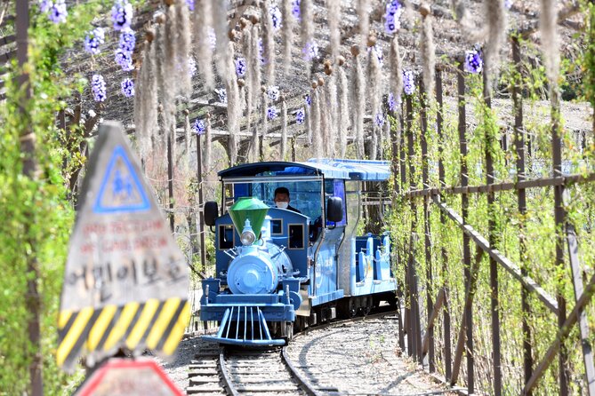 Seoul Vicinity 5 in 1: Nami Island, Garden of Morning Calm & More - Guides, transport, and the pace of the day