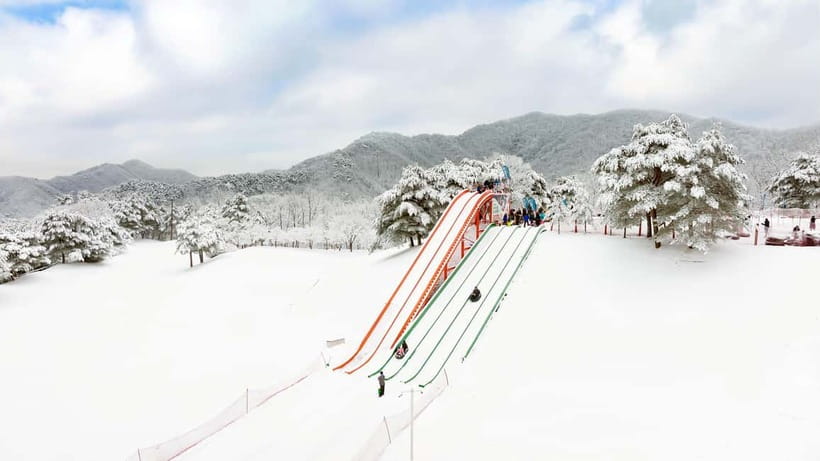 Seoul: Vivaldi Park Winter Ski with Eobi Ice Valley Day Tour - Key points to know before booking