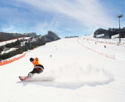 Vivaldi Park Winter Ski with Eobi Ice Valley Day Tour