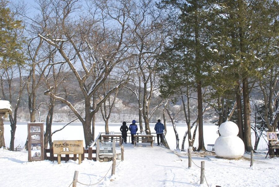 Seoul: Vivaldi Park Winter Ski with Nami Island Day Tour - Key points to know before booking