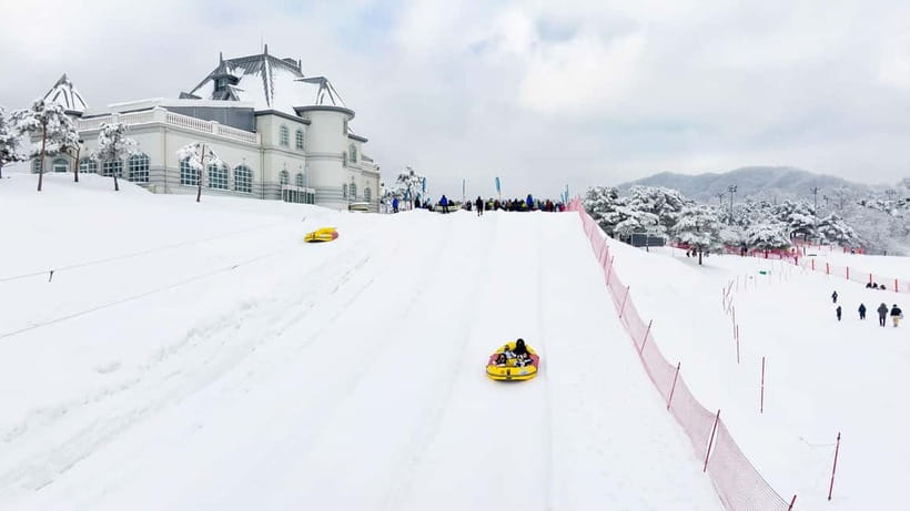 Seoul: Vivaldi Park Winter Ski with Nami Island Day Tour - Why this ski-and-island combination works