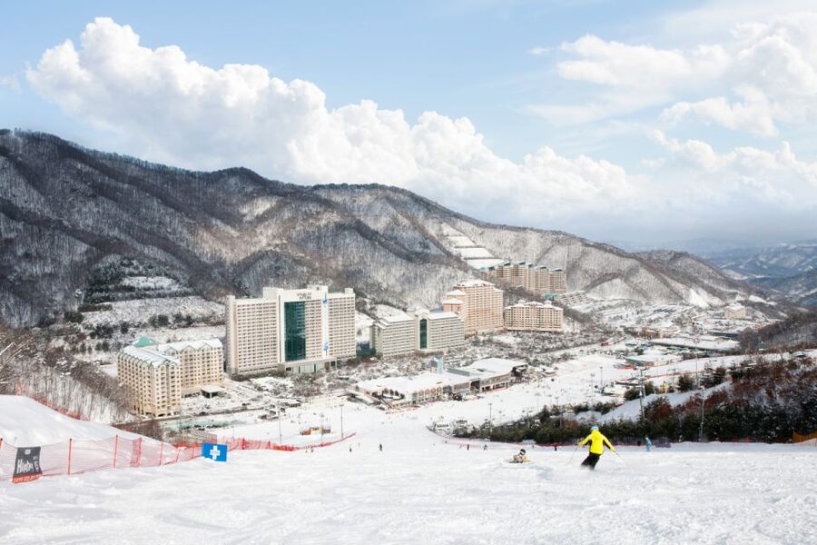Seoul: Vivaldi Park Winter Ski with Nami Island Day Tour - The return to Seoul and the real time cost