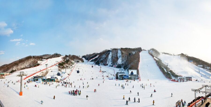Seoul: Vivaldi Park Winter Ski with Nami Island Day Tour - Practical tips for a smoother day