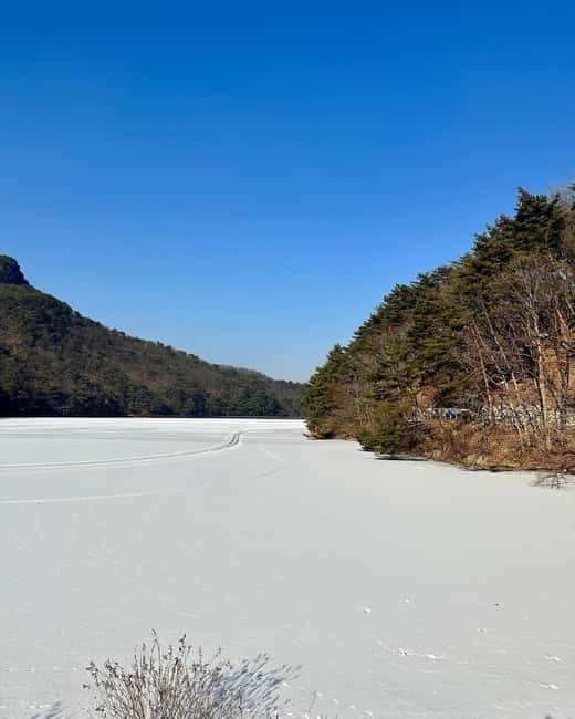 Seoul: Winter Day Tour in Pocheon (+Strawberry Picking) - Why this Pocheon winter trip works
