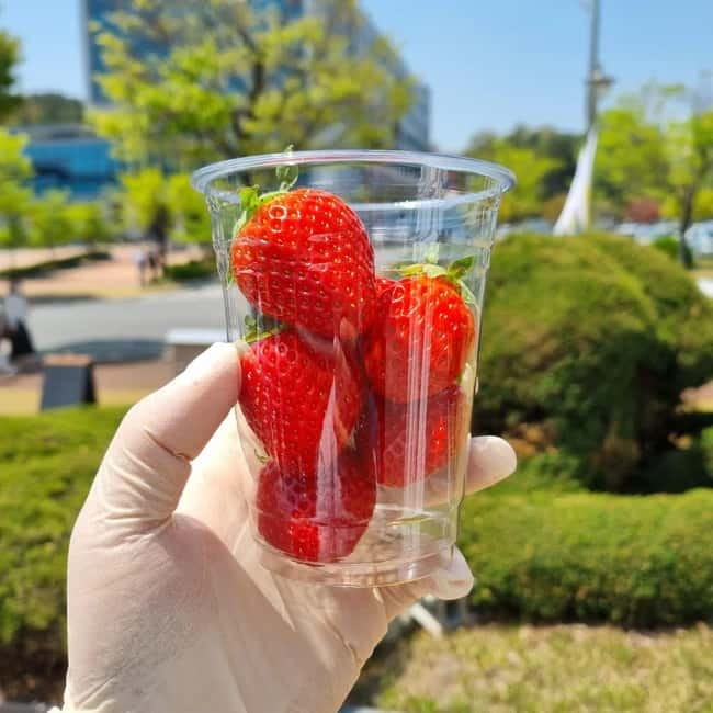Seoul: Winter Day Tour in Pocheon (+Strawberry Picking) - Dally.On and the ice wall café pause