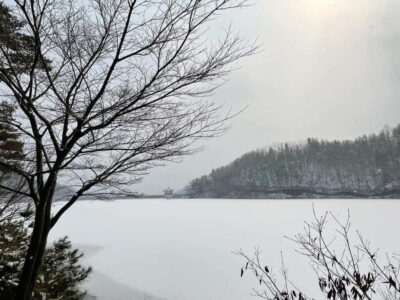 Winter Day Tour in Pocheon (+Strawberry Picking)