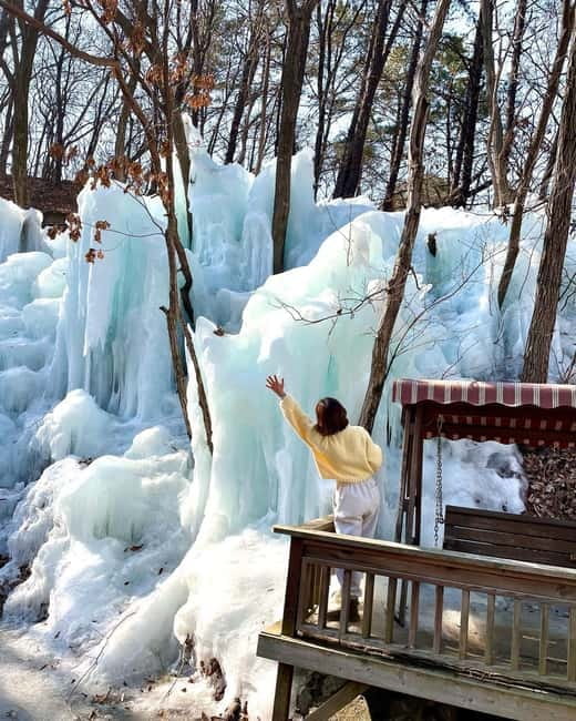 Seoul: Winter Day Tour in Pocheon (+Strawberry Picking) - The guide can shape the whole day