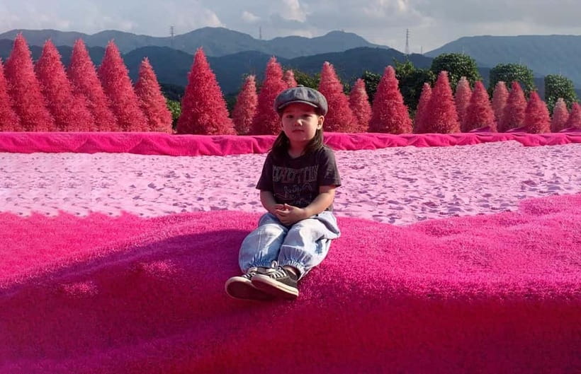 Seoul: Winter Day Tour in Pocheon (+Strawberry Picking) - What the $62 price really covers