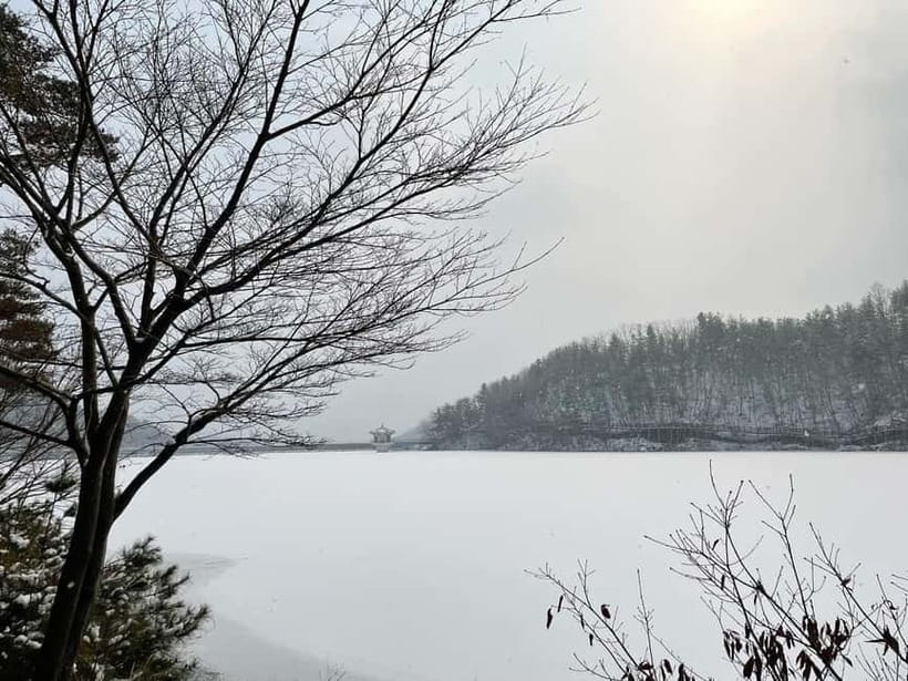 Seoul: Winter Day Tour in Pocheon (+Strawberry Picking) - Leaving Seoul for Gyeonggi Province