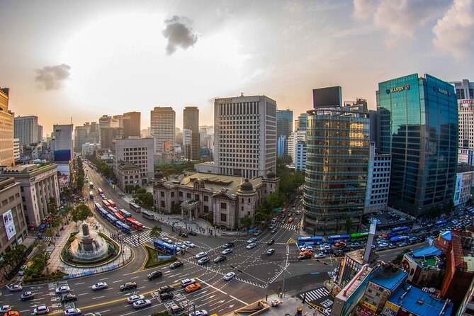 Seoul: Your Private Custom Tour – Half/Full/Outskirts - How the guide affects the day