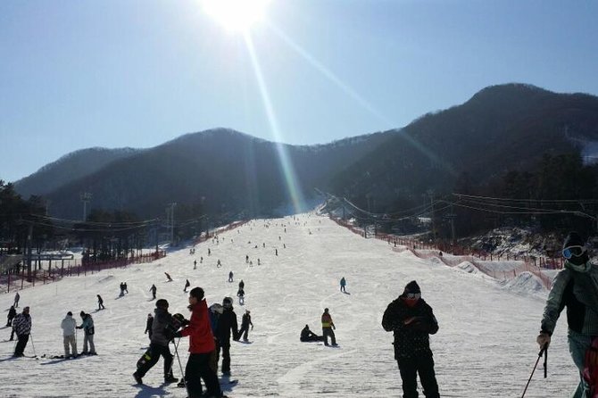Ski Tour to Jisan Ski Resort from Seoul - Picking the right snow package