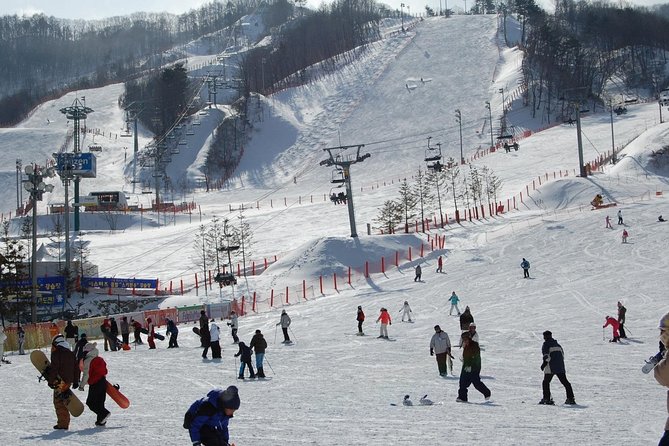 Ski Tour to Jisan Ski Resort from Seoul - Free time, lifts, and the resort day