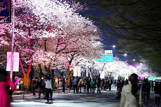 Small Group 7D Korea package Tour with Seoul Gyeongju Busan Jeju - The DMZ and a final Korean War stop