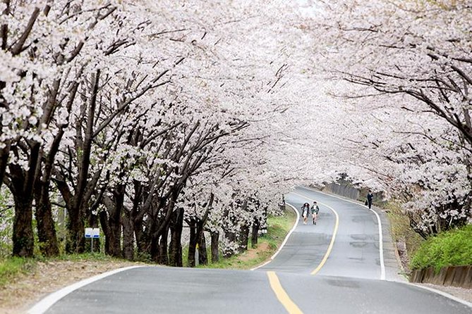 Small Group 7D Korea package Tour with Seoul Gyeongju Busan Jeju - Busan by market, temple, and sea rail