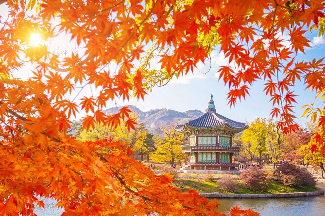 Small Group (7pax) Seoul Tour with Pickup/Dropoff (No Shopping) - A compact way to meet Seoul
