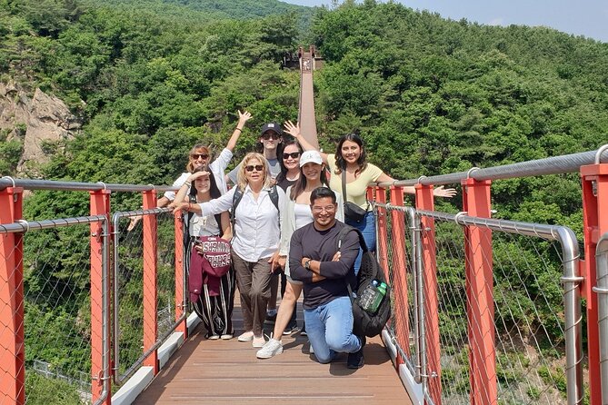 Small Group Tour to DMZ & Suspension Bridge with Hotel Pickup - Seeing North Korea from Dora Observatory