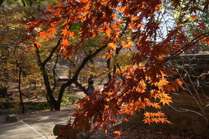 Songnisan National Park & Beopjusa Temple UNESCO site Private Tour - How much value do you get for $248?
