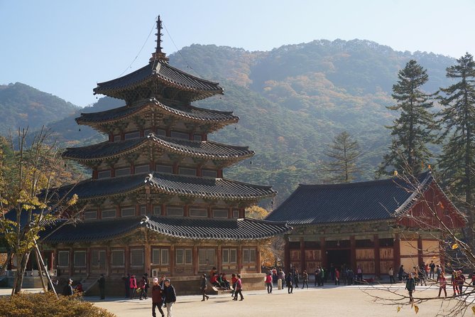 Songnisan National Park & Beopjusa Temple UNESCO site Private Tour - Booking timing and practical details