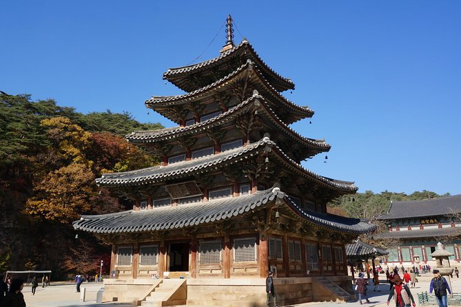 Songnisan National Park & Beopjusa Temple UNESCO site Private Tour - Picking the right Songnisan walk