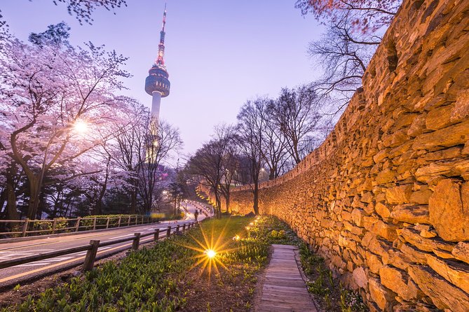 Special City Night Tour - Deoksu Palace and the old royal center