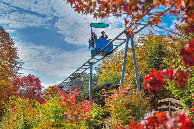 Special Private Tour Nami Island, Rail Bike, Petite France - Why this private day trip works