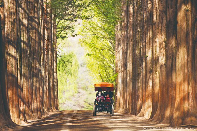 Special Private Tour Nami Island, Rail Bike, Petite France - The private vehicle and guide make the schedule manageable
