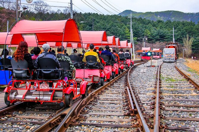 Special Private Tour Nami Island, Rail Bike, Petite France - Who should book this Seoul excursion?