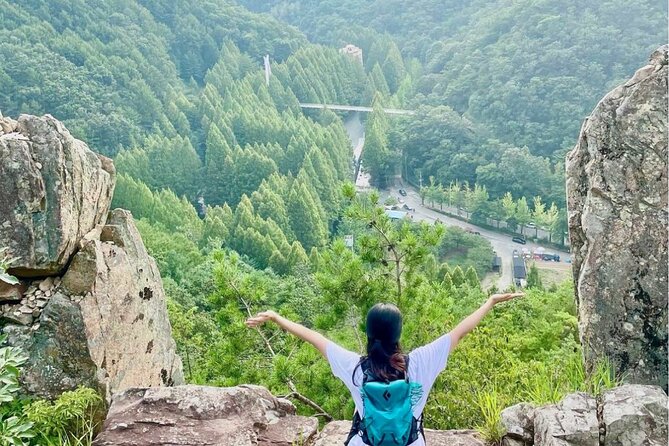 Suwon Hwaseong Fortress & Jangtaesan Full-Day Tour: Autumn Leaves - Returning to Seoul after a 12-hour day