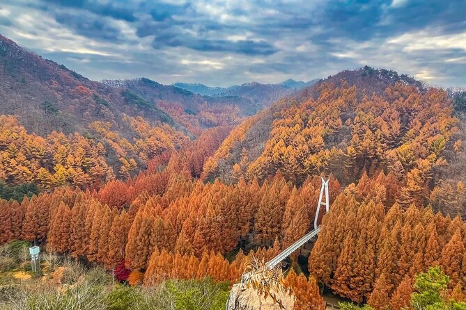 Suwon Hwaseong Fortress & Jangtaesan Full-Day Tour: Autumn Leaves - Who should book this day trip