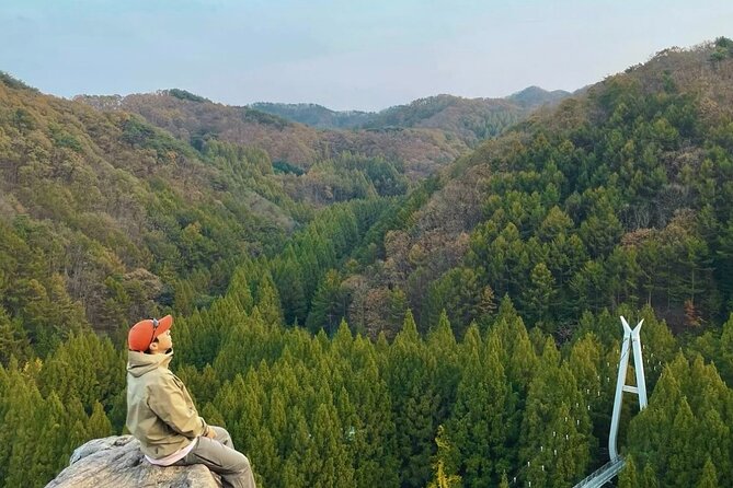 Suwon Hwaseong Fortress & Jangtaesan Full-Day Tour: Autumn Leaves - Starting from Seoul before sunrise