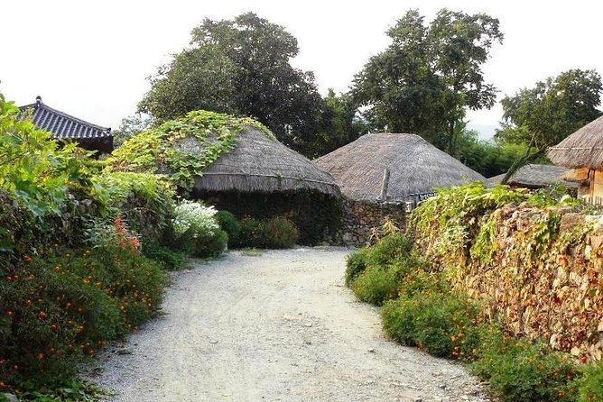 Traditional Korean folk village Afternoon tour - Performances, customs, and weather limits