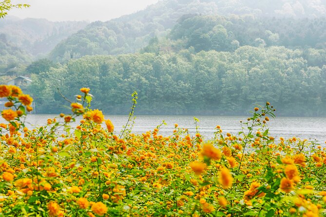 Trip to Nami Island with Petite France & Italian Village, Garden of Morning Calm - A long day shaped by traffic and weather