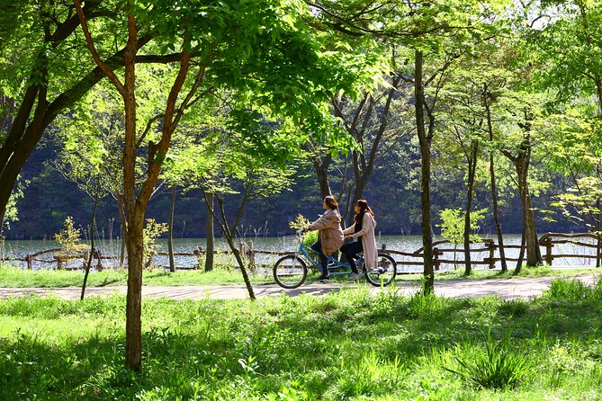 Trip to Nami Island with Petite France & Italian Village, Garden of Morning Calm - Guide support makes a real difference