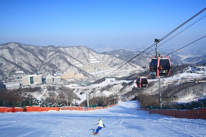 Vivaldi Park Winter Ski Resort with Nami Island Tour from Seoul - Key points to know before booking