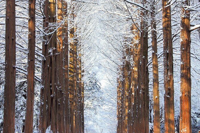Vivaldi Park Winter Ski Resort with Nami Island Tour from Seoul - Choosing between the five packages