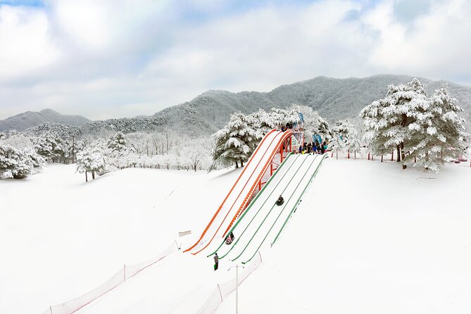 Vivaldi Park Winter Ski Resort with Nami Island Tour from Seoul - Nami Island after the resort