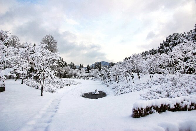 Vivaldi Park Winter Ski Resort with Nami Island Tour from Seoul - The guide and the group experience