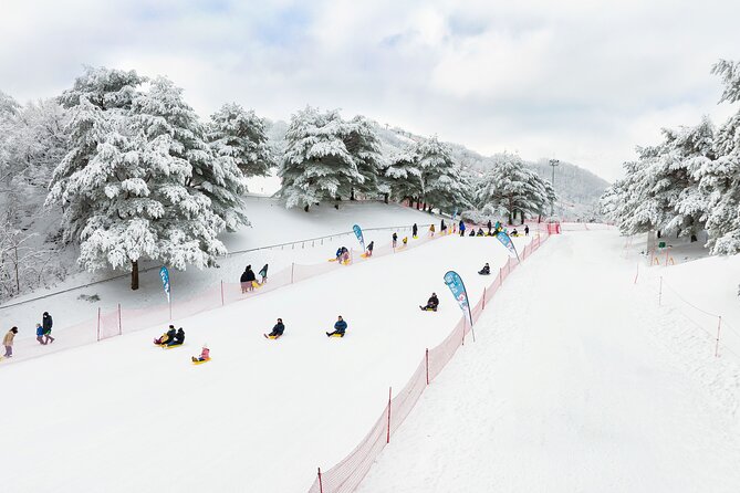 Vivaldi Park Winter Ski Resort with Nami Island Tour from Seoul - Who should book this tour