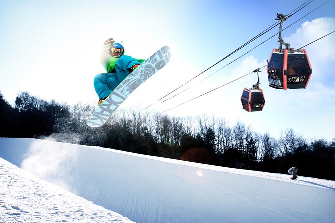 Vivaldi Park Winter Ski Resort with Nami Island Tour from Seoul - Four hours at Vivaldi Park Ski World