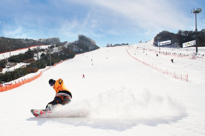 Vivaldi Park Winter Ski with Eobi Ice Valley Day Tour from Seoul - Key points to know before booking