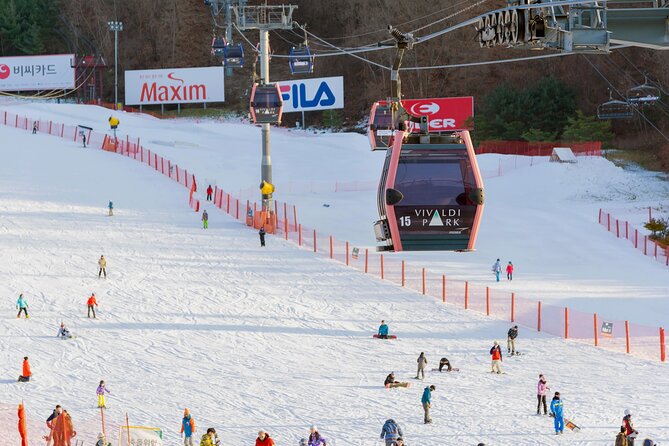 Vivaldi Park Winter Ski with Eobi Ice Valley Day Tour from Seoul - Choosing between the five packages